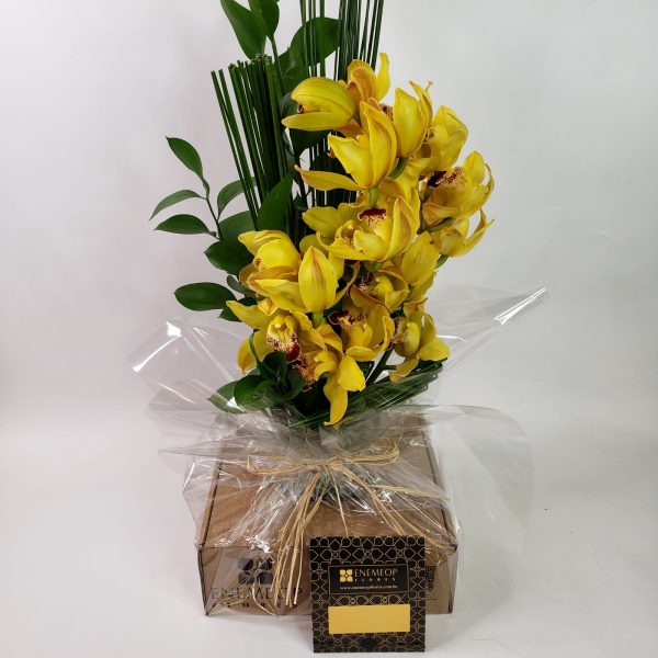 Arranjo Orquídeas Cymbidium Amarelas exclusivo "Frente Única" - Image 3