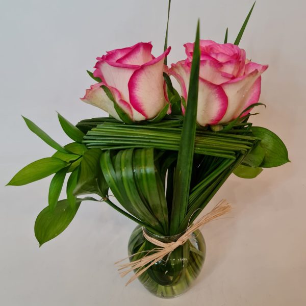 Arranjo com Rosas Nacionais e Moréias "Você é importante para mim"