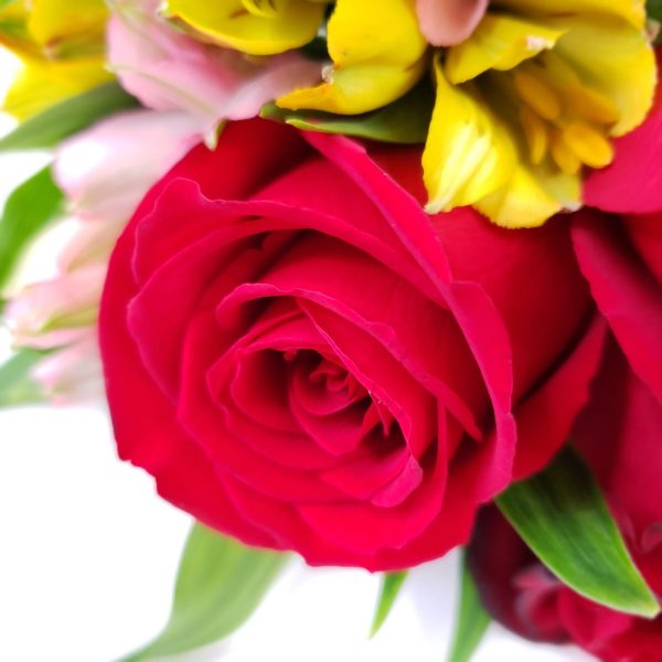 Buquê de Rosas Nacionais Vermelhas Ternura em Flor - Imagem 4