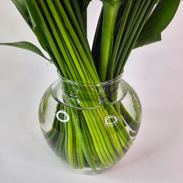 Arranjo "Iluminado por Uma Flor" no Vaso de Vidro - Imagem 4