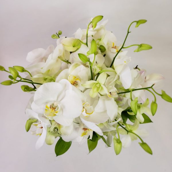 buque de noiva orquideas brancas M encomenda