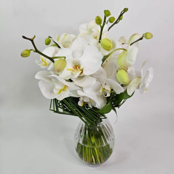 Buque de Noiva - Orquídeas e Juncos - Imagem 2