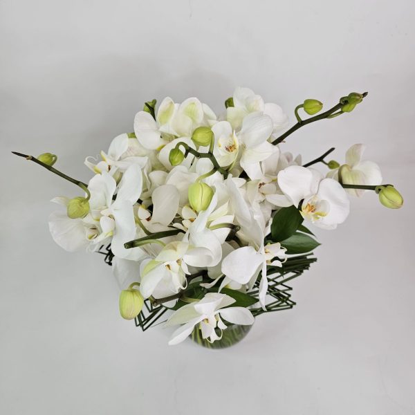 Buque de Noiva - Orquídeas e Juncos - Imagem 5