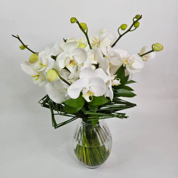 Buque de Noiva - Orquídeas e Juncos - Imagem 4