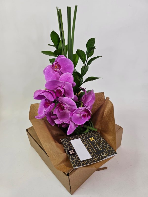Orquídeas Pink Retrô (juncos e folhagens Ruscus) - Imagem 3