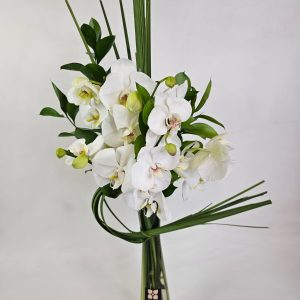Arranjo Orquideas Brancas Encanto (Frente única)