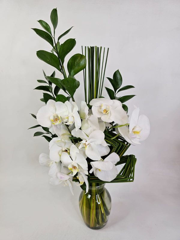 arranjo orquideas brancas e ruscus