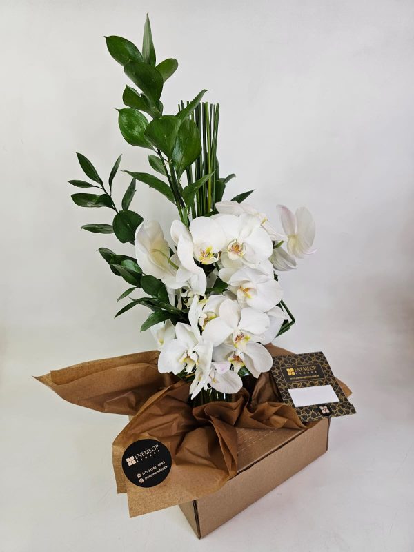 Arranjo de Orquídeas Brancas e Ruscus - Imagem 3