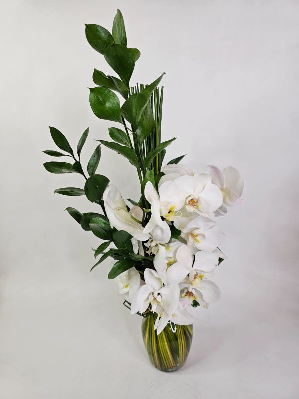 Arranjo de Orquídeas Brancas e Ruscus - Imagem 4