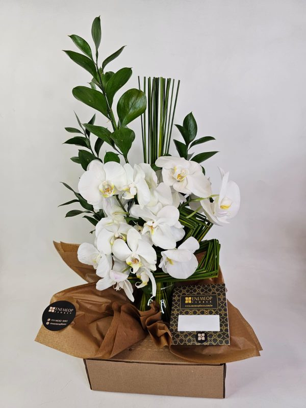 Arranjo de Orquídeas Brancas e Ruscus - Imagem 5
