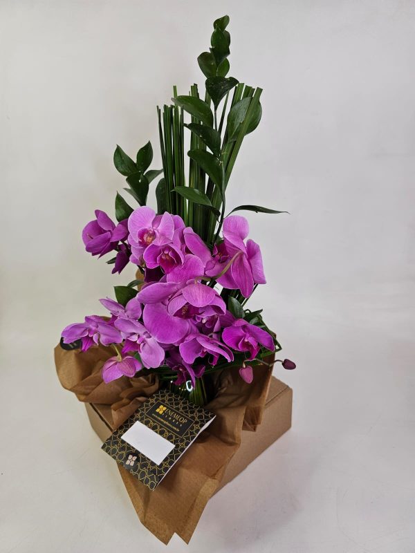 Arranjo Orquídeas Pink vaso de vidro - Imagem 5