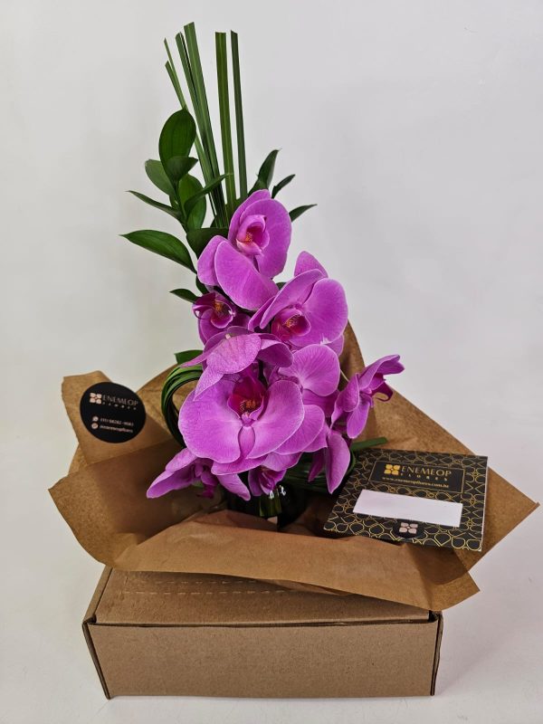 Orquídeas Pink Retrô (juncos e folhagens Ruscus) - Imagem 5