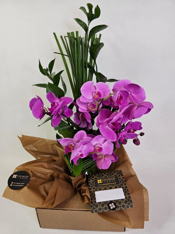 Arranjo Orquídeas Pink vaso de vidro - Imagem 6