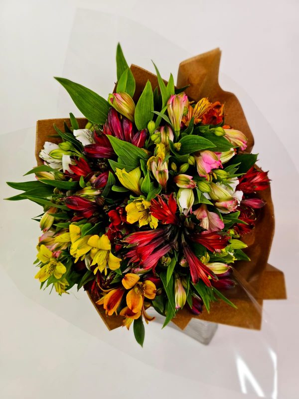 Buquê Luxuoso de Alstromélias Coloridas - Serenata Floral - Imagem 7