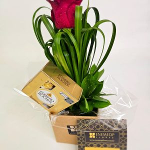 Jardim de Um Só Instante + Ferrero Rocher 100g