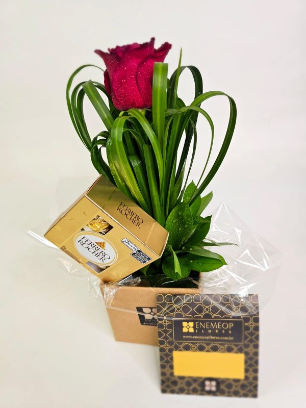 Jardim de Um Só Instante + Ferrero Rocher 50g