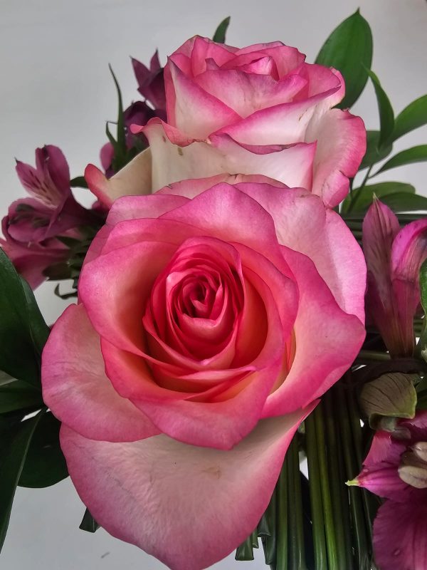 Arranjo 2 Rosas Nacionais e Junco "Onde o amor floresce" - Image 3