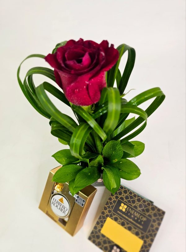 Jardim de Um Só Instante + Ferrero Rocher 50g - Imagem 4