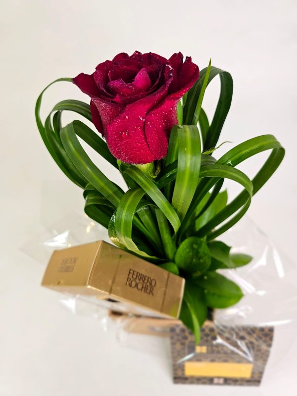 Jardim de Um Só Instante + Ferrero Rocher 50g - Imagem 5