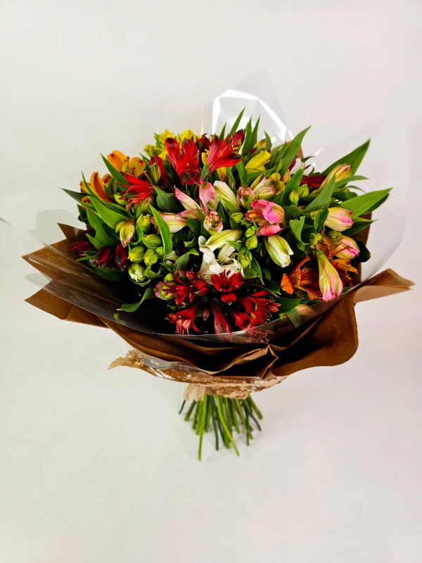 Buquê Luxuoso de Alstromélias Coloridas - Serenata Floral - Imagem 4