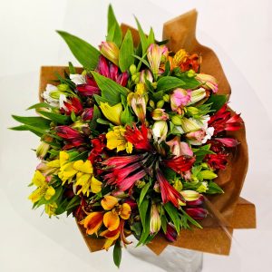 Buquê Luxuoso de Alstromélias Coloridas - Serenata Floral