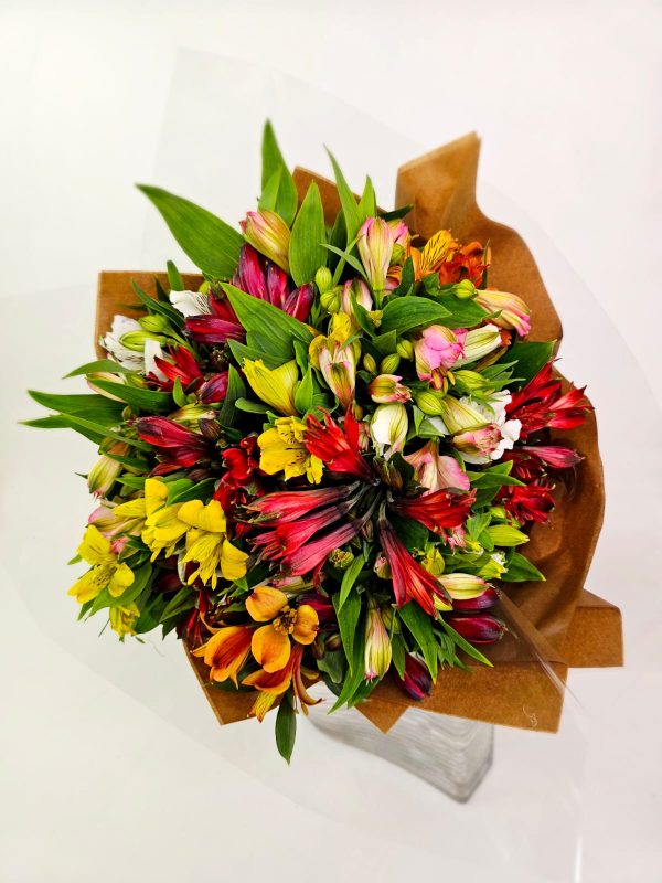 Buquê Luxuoso de Alstromélias Coloridas - Serenata Floral