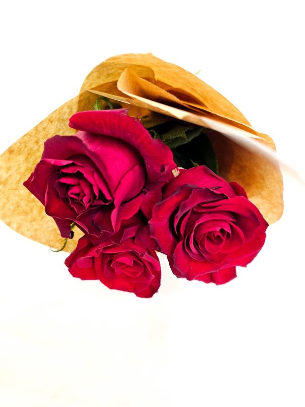 Ramalhete de Rosas "Pétalas ao Luar" - Imagem 4